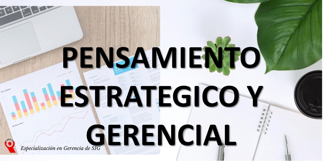PENSAMIENTO ESTRATÉGICO Y GERENCIAL
