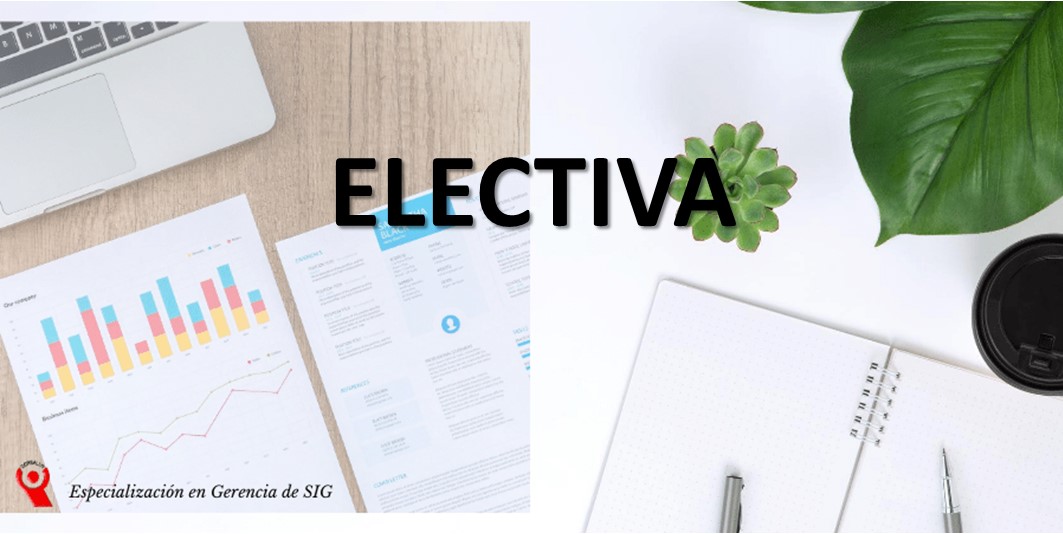 ELECTIVA  ISO 31000 2018