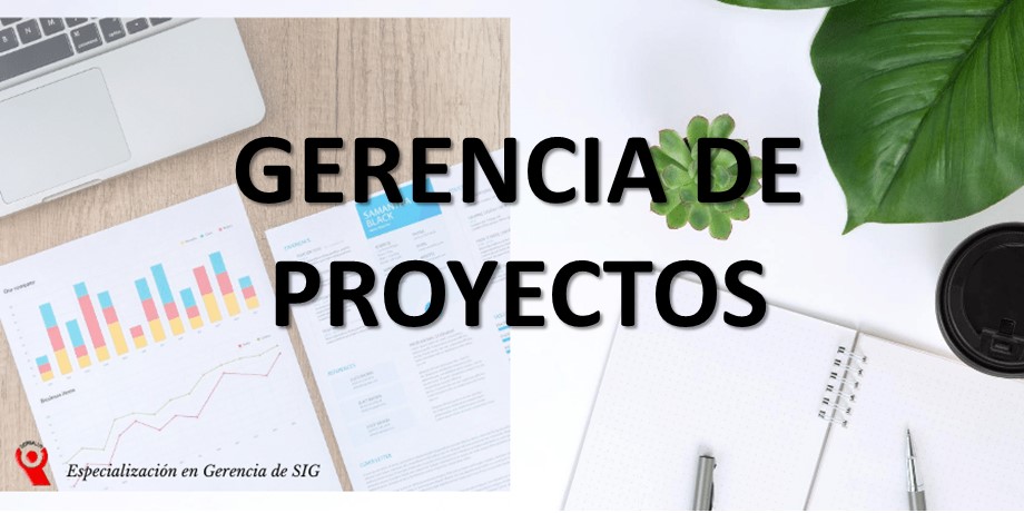 GERENCIA DE  PROYECTOS HSEQ