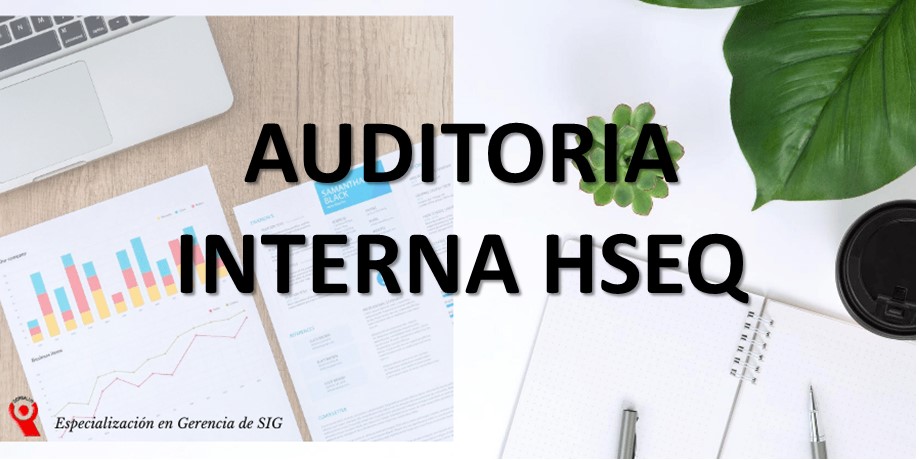 AUDITORIA INTEGRADA DE SISTEMAS DE GESTIÓN- HSEQ 