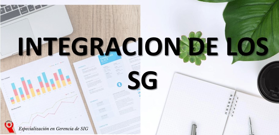 DISEÑO , IMPLEMENTACIÓN Y MEJORAMIENTO DE SIST.INTEG.DE GESTIÓN  - ENFOQUE POR PROCESOS